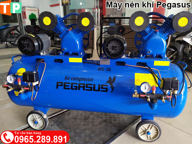 Máy nén khí Pegasus 2 Motor