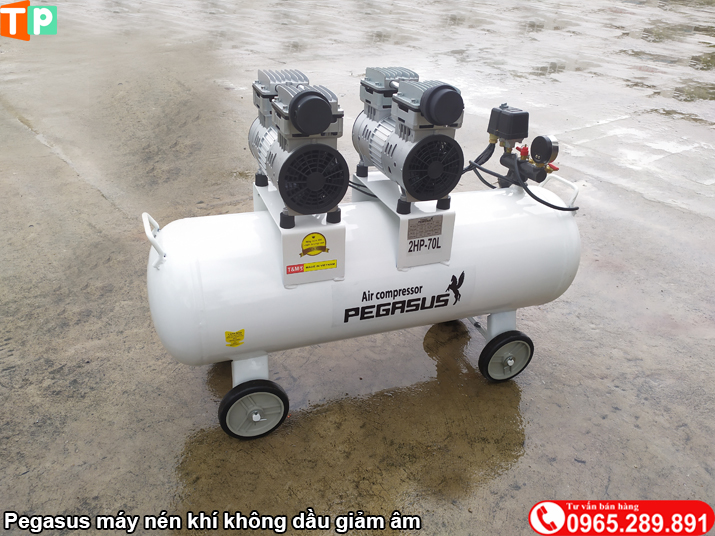 Pegasus máy nén khí không dầu giảm âm