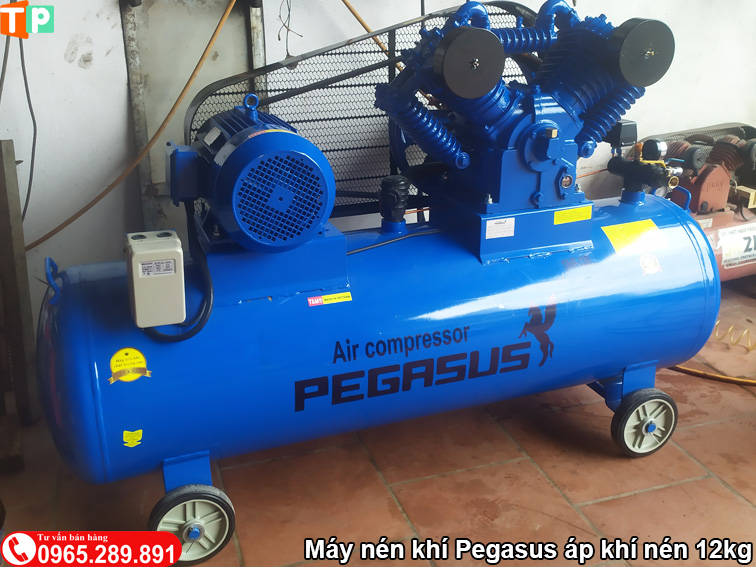 Máy nén khí Pegasus áp khí nén 12kg